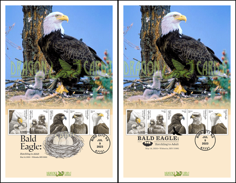 Bald Eagles